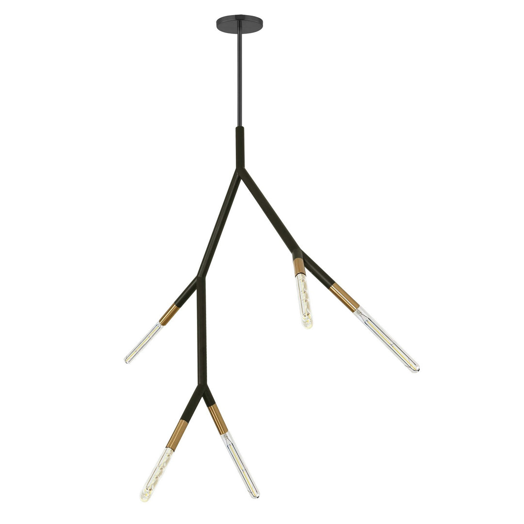Dainolite Canada - MOR-125P-MB-AGB - Five Light Pendant - Morgan - Matte Black