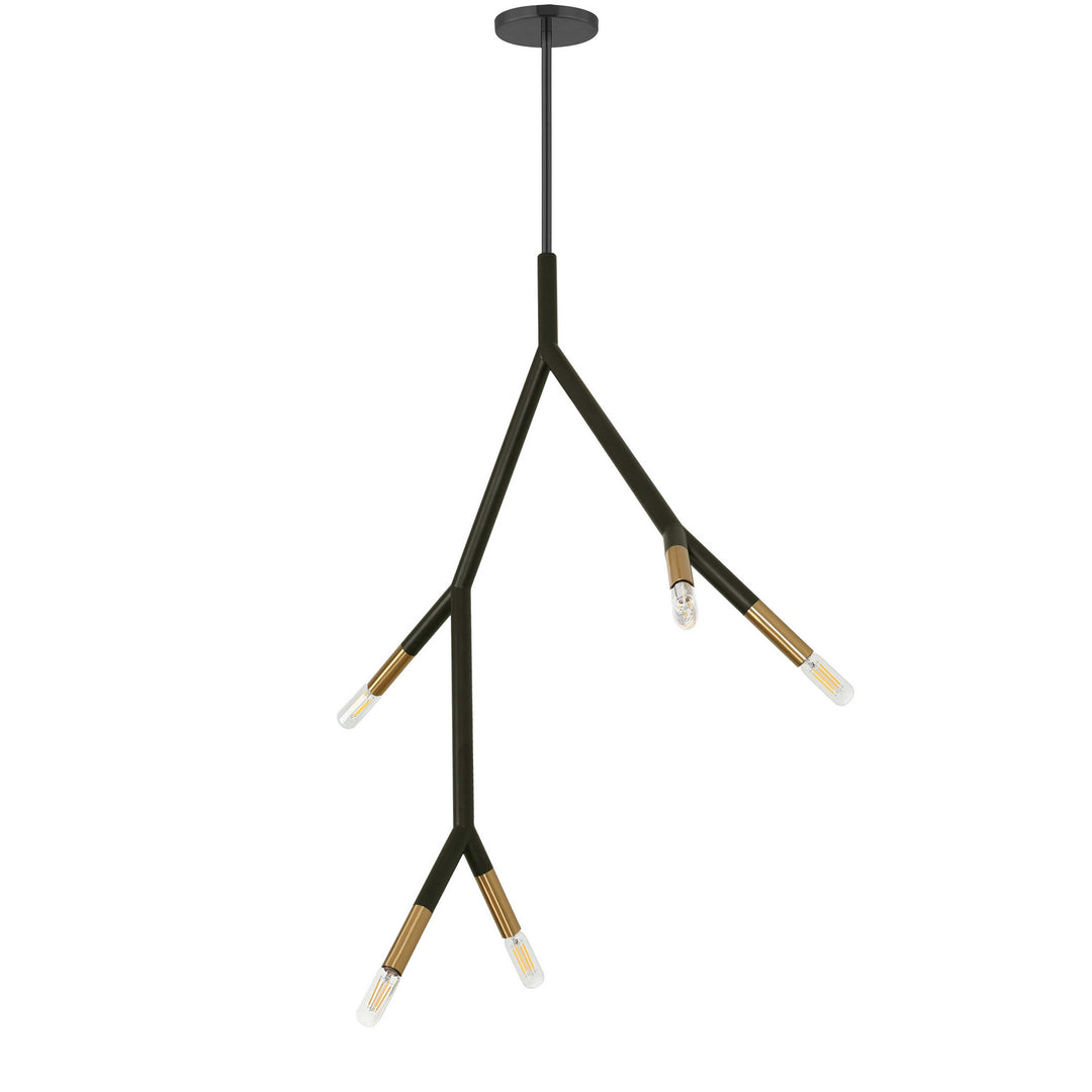 Morgan Five Light Pendant in Matte Black - available from The Lighting Shoppe, trusted by Canadian homeowners