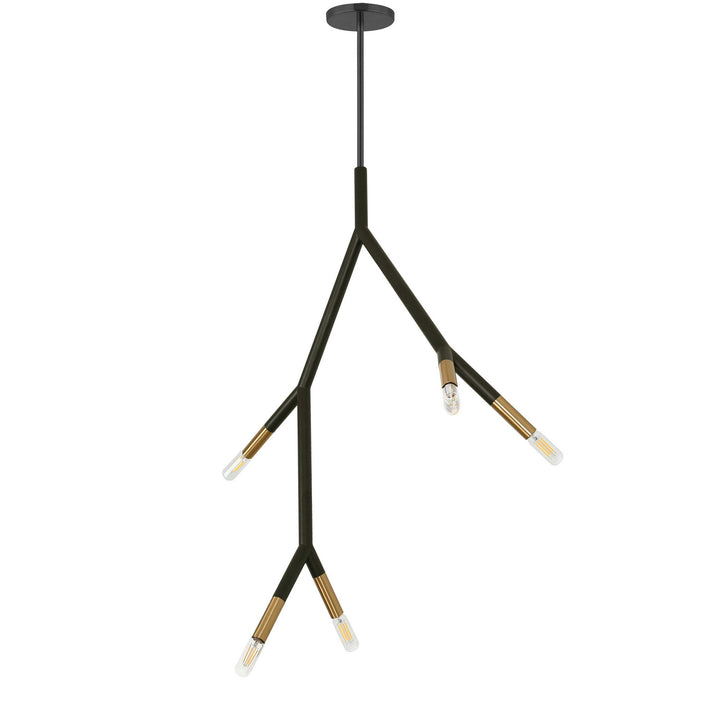 Morgan Five Light Pendant in Matte Black - available from The Lighting Shoppe, trusted by Canadian homeowners
