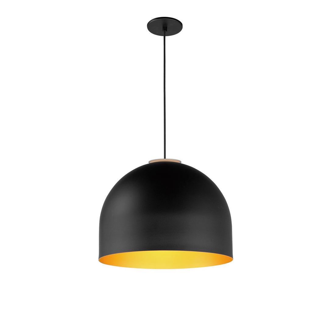 Foster LED Pendant in Black / Gold - available from The Lighting Shoppe, trusted by Canadian homeowners
