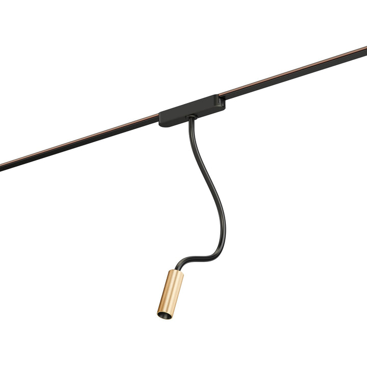 ET2 - ETL21216-BKGLD - LED Track Light - Continuum - Track - Black / Gold
