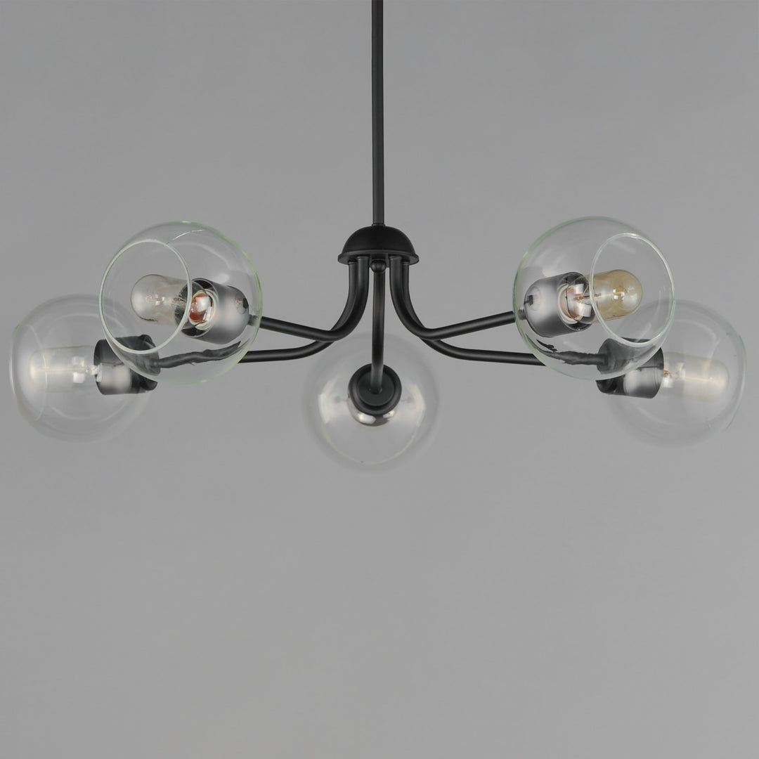 Maxim - 21635CLBK - Five Light Chandelier - Knox - Black