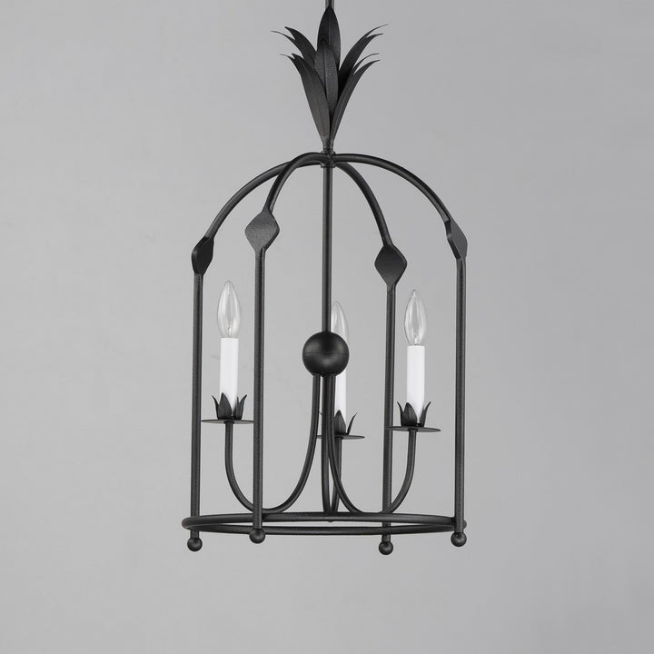 Maxim - 2884AR - Three Light Foyer Pendant - Paloma - Anthracite