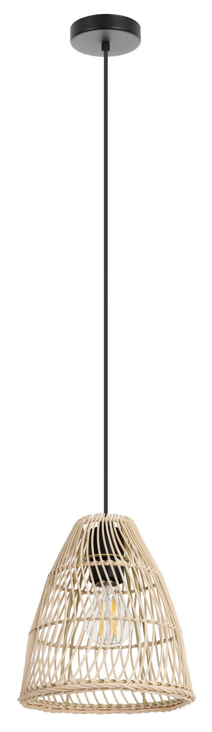 Ayesgarth One Light Pendant in Black - available from The Lighting Shoppe, trusted by Canadian homeowners