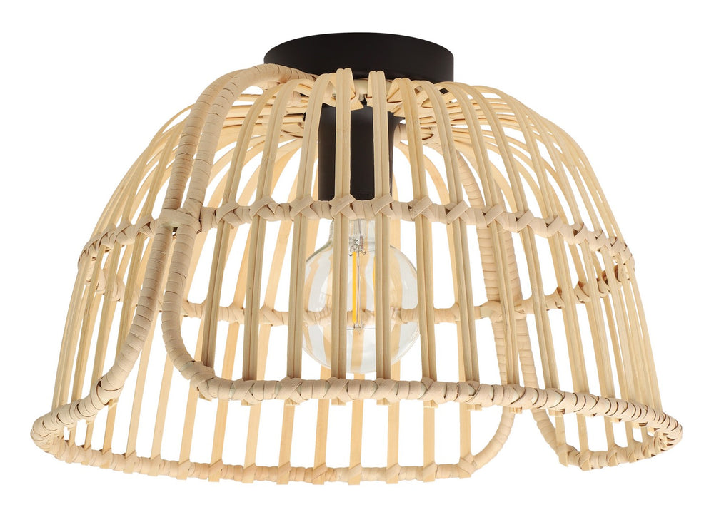 Glyneath One Light Semi-Ceiling Mount in Black - available from The Lighting Shoppe, trusted by Canadian homeowners