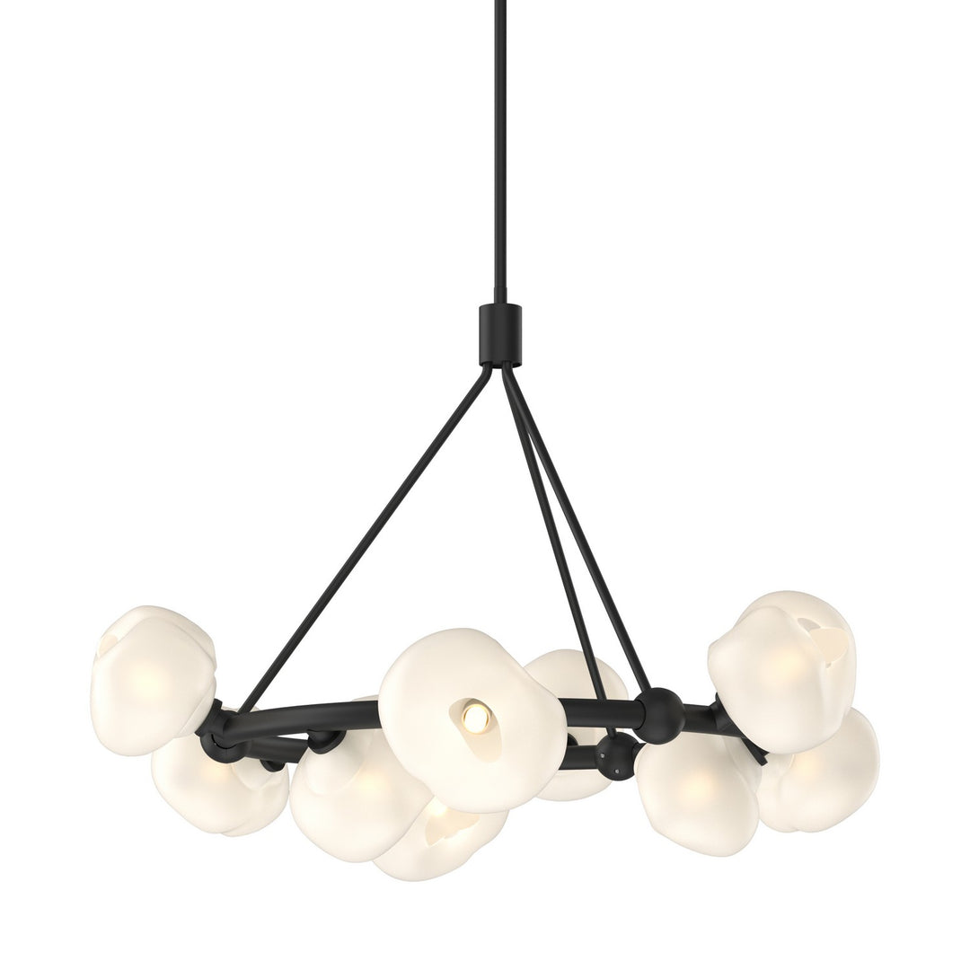 Hubbardton Forge Canada - 131069-SKT-MULT-10-FD0710 - Nine Light Pendant - Ume - Black