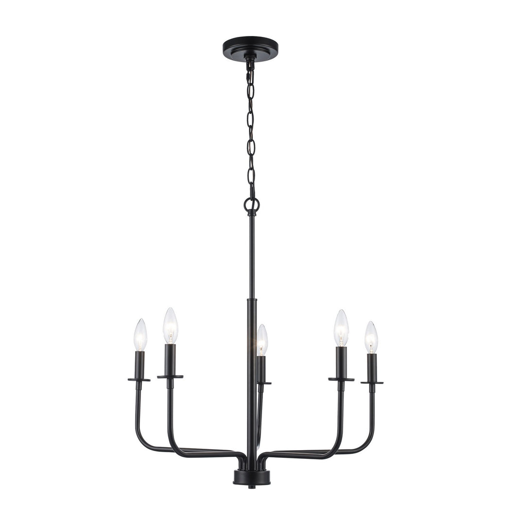 Tennyson Five Light Pendant in Black - available from The Lighting Shoppe, trusted by Canadian homeowners