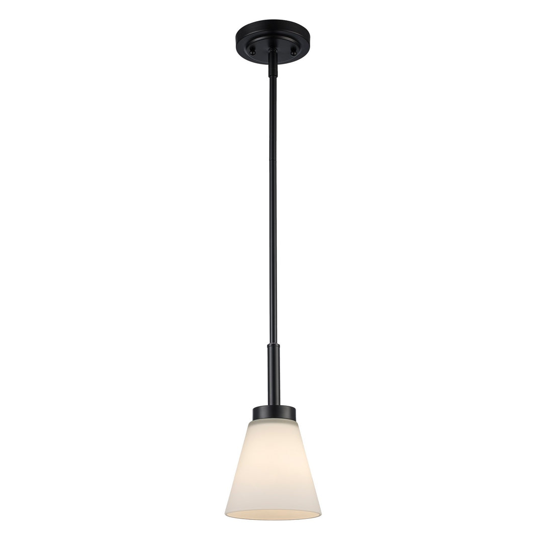 Fifer One Light Pendant in Black - available from The Lighting Shoppe, trusted by Canadian homeowners