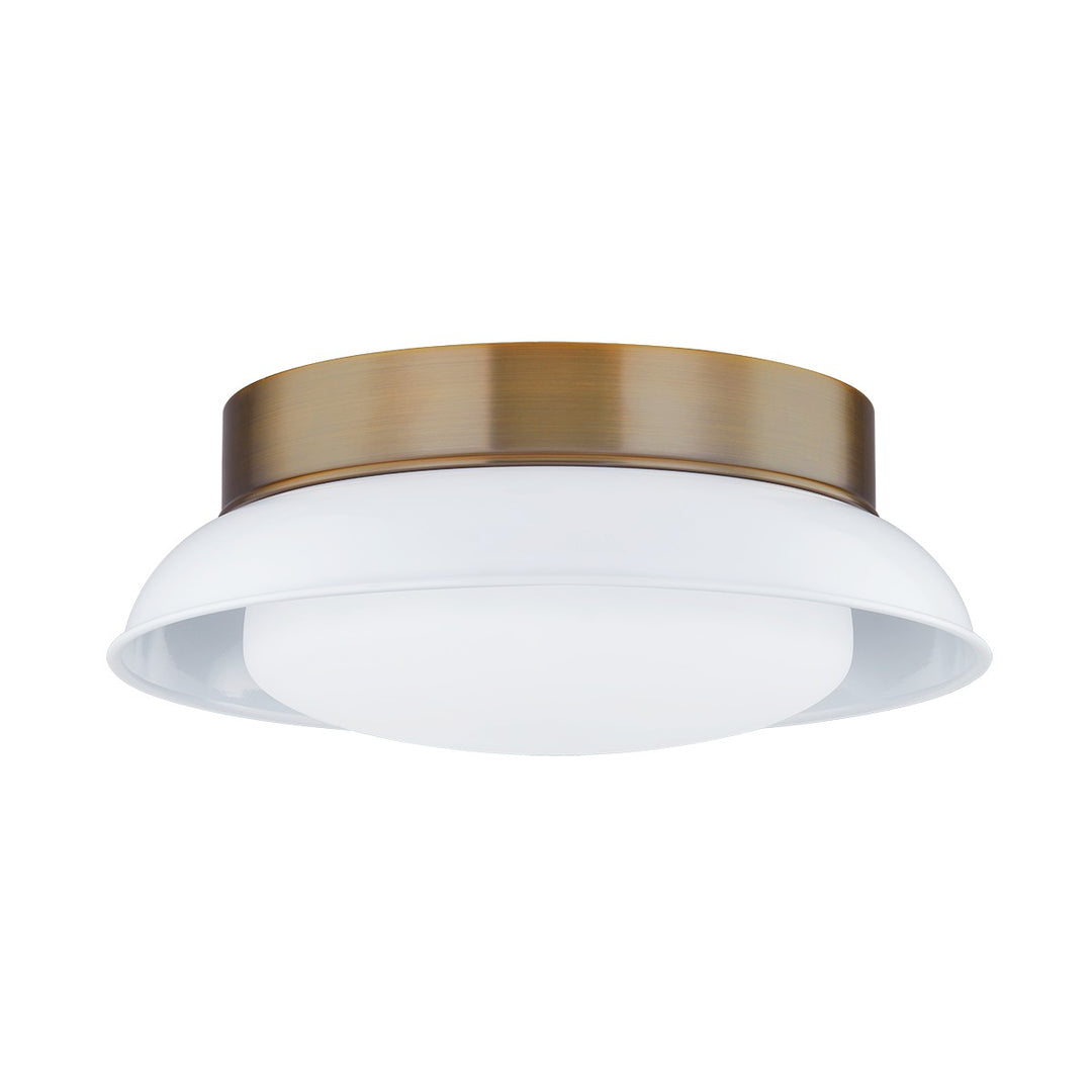 Troy Lighting Canada - C2014-PBR/GWH - Two Light Flush Mount - Arnie - Patina Brass