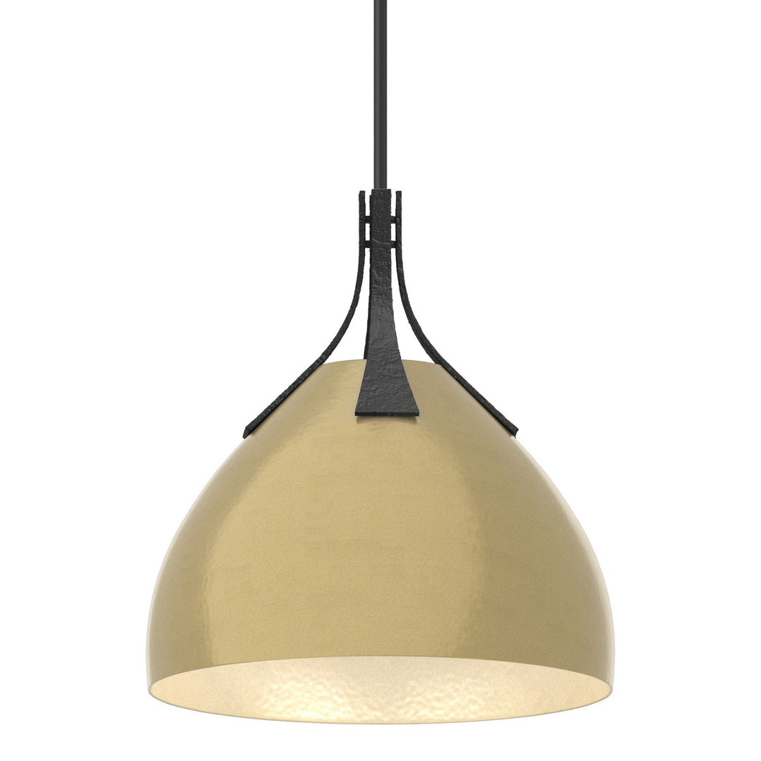 Hubbardton Forge Canada - 134502-SKT-MULT-10-86 - One Light Pendant - Summit - Black