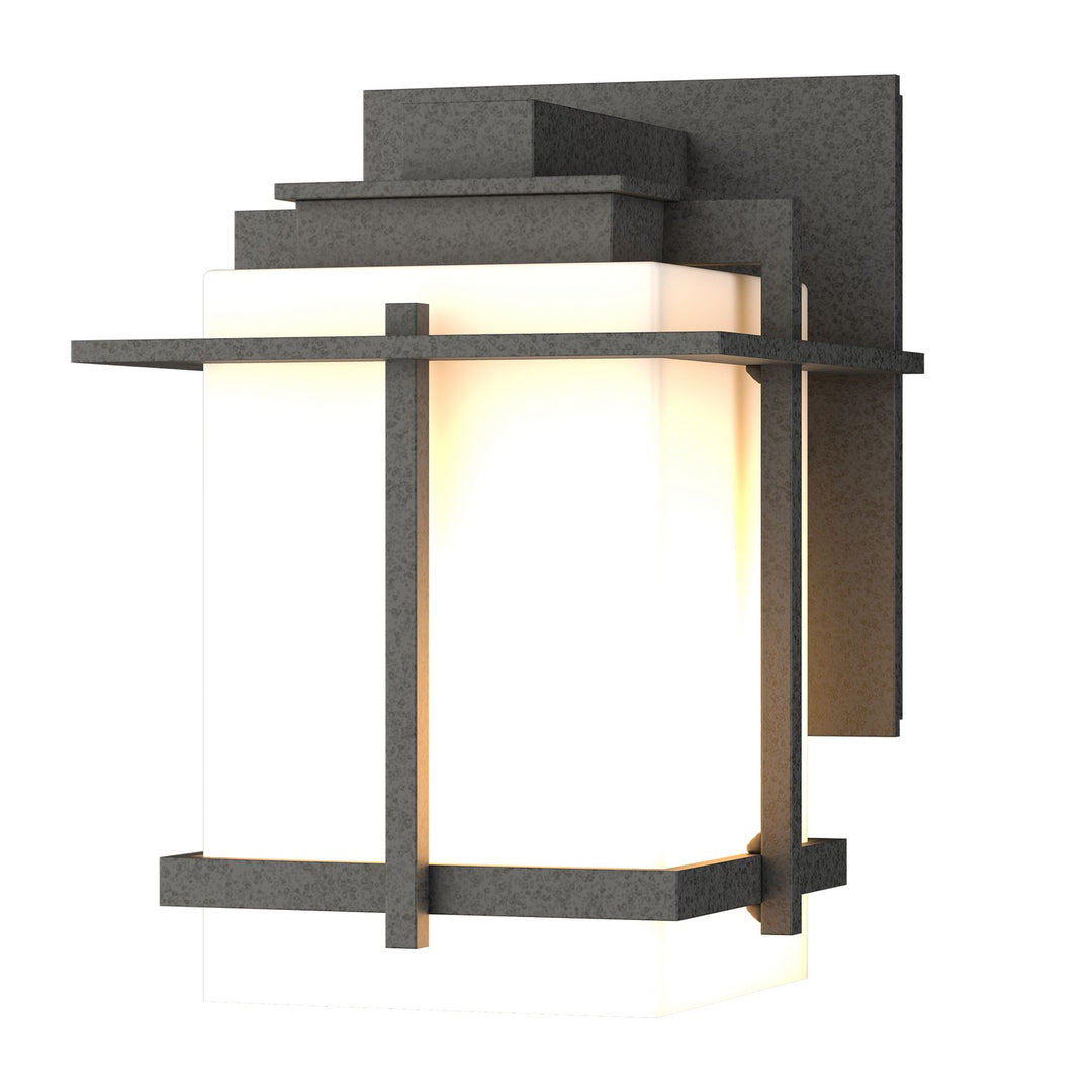 Hubbardton Forge Canada - 306006-SKT-20-GG0110 - One Light Outdoor Wall Sconce - Tourou - Coastal Natural Iron
