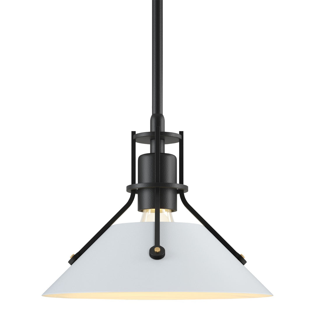 Henry One Light Pendant in Black - available from The Lighting Shoppe, trusted by Canadian homeowners