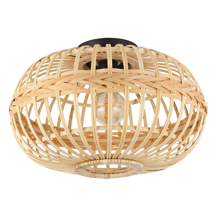 Amsfield One Light Ceiling Mount in Black - available from The Lighting Shoppe, trusted by Canadian homeowners