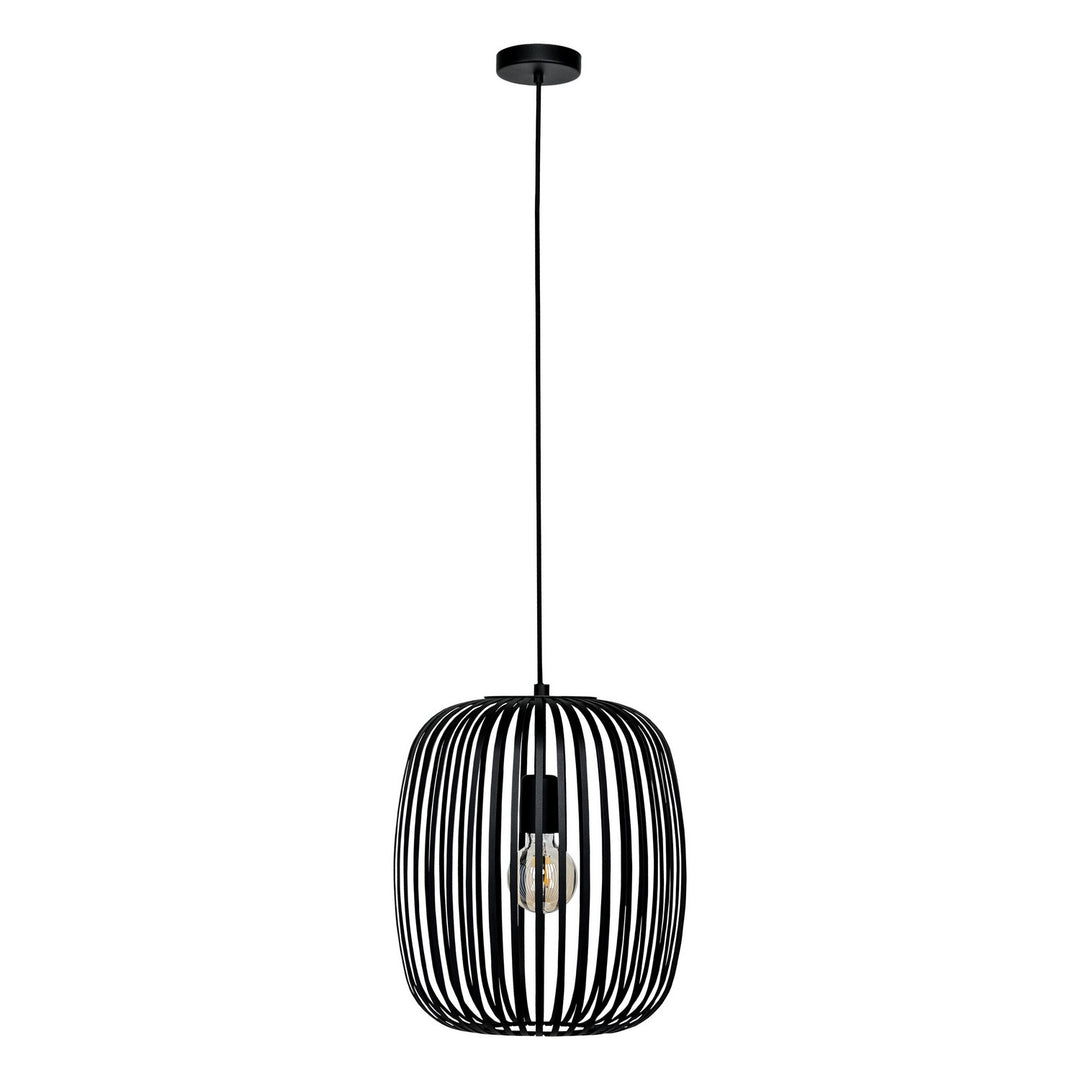 Romazzina One Light Pendant in Black - available from The Lighting Shoppe, trusted by Canadian homeowners