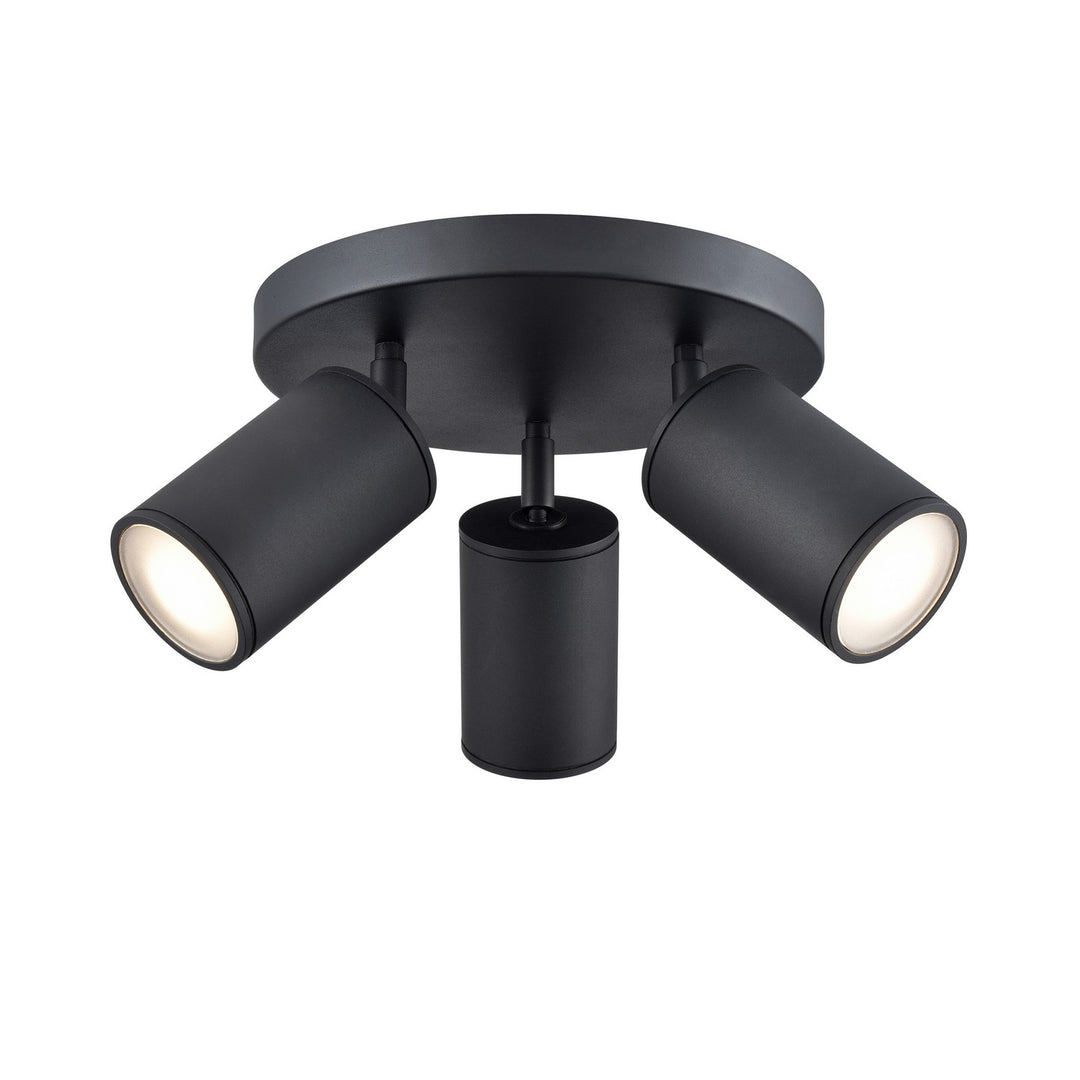 Pond Inlet Outdoor Three Light Outdoor Flush Mount in Multiple Outdoor/Black - available from The Lighting Shoppe, trusted by Canadian homeowners