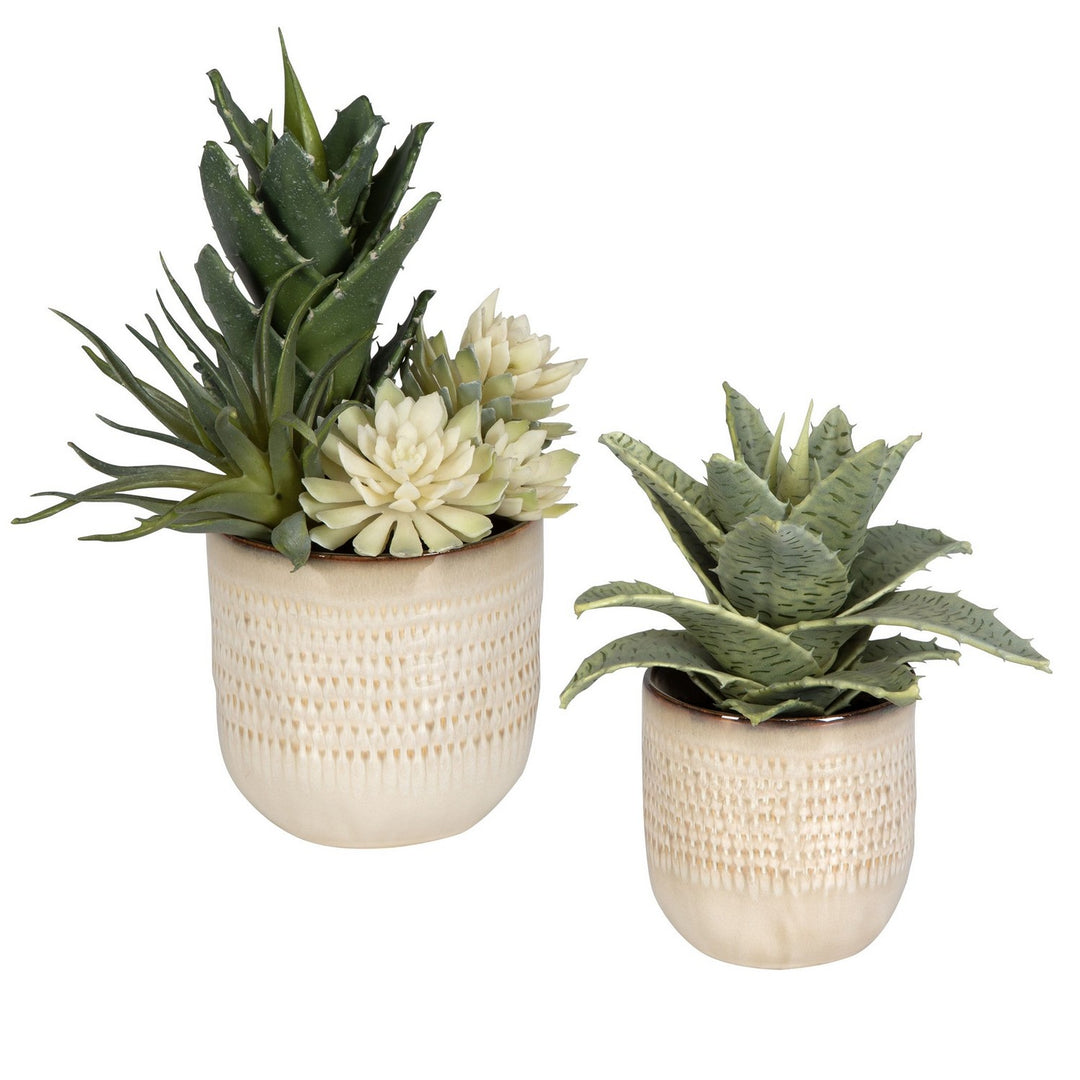Seaside Succulents Succulents, Set/2 in Glazed In Neutral Tan - available from The Lighting Shoppe, trusted by Canadian homeowners