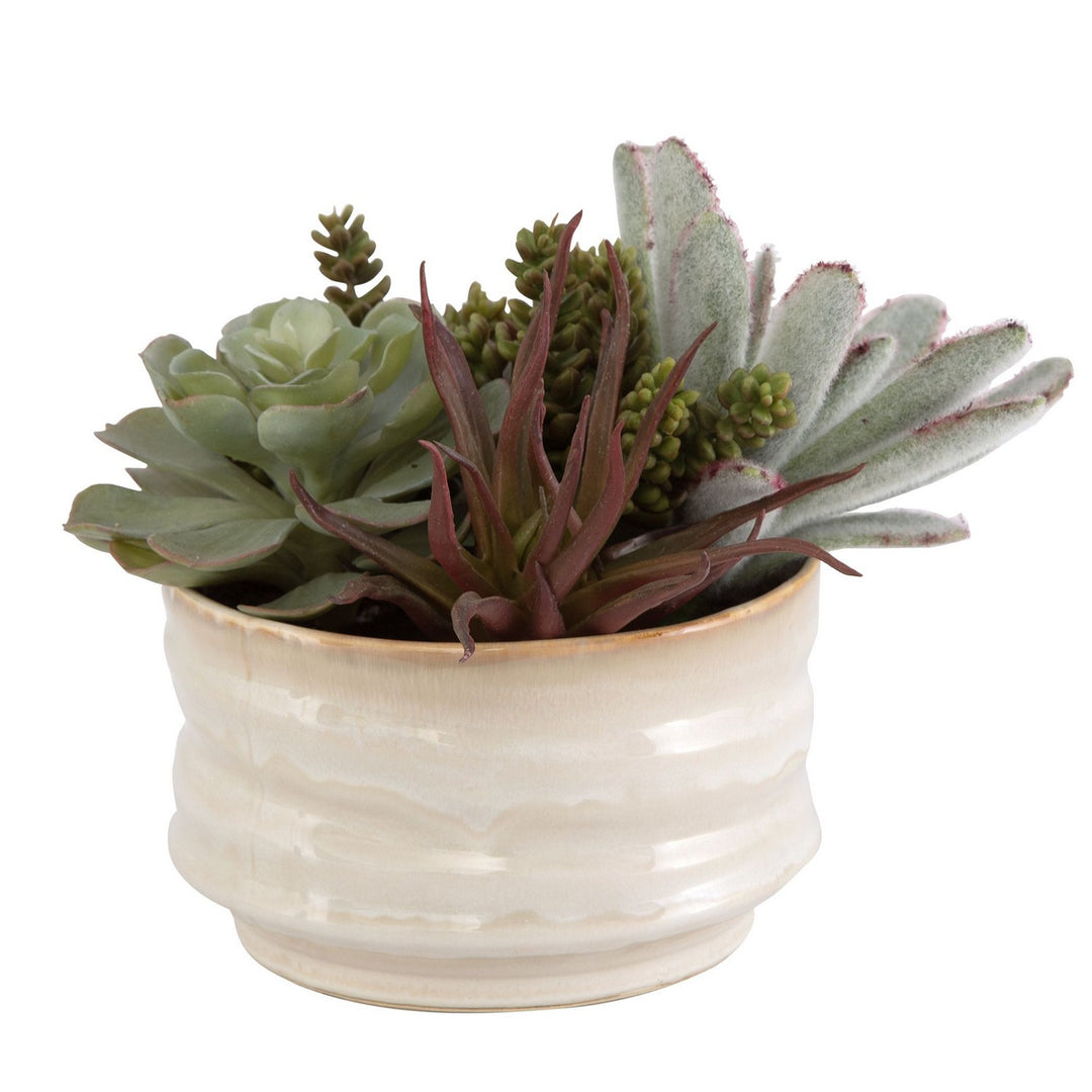 Mesa Succulent Succulent Accent in Textured Tan - available from The Lighting Shoppe, trusted by Canadian homeowners