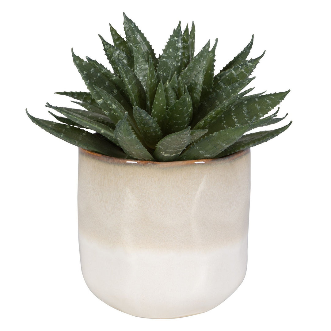 Doha Succulent Accent in Green And Burgundy - available from The Lighting Shoppe, trusted by Canadian homeowners