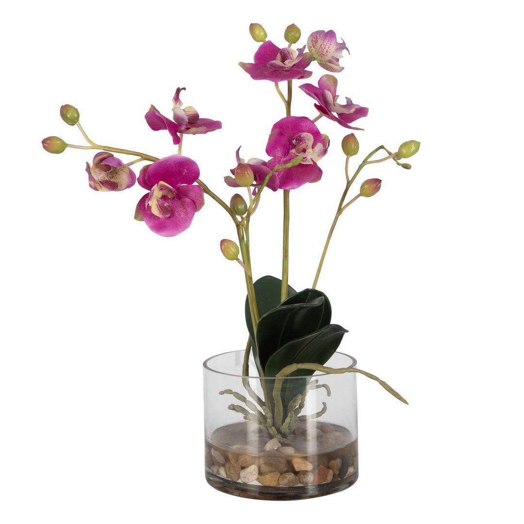 Glory Orchid Orchid in Fuchsia - available from The Lighting Shoppe, trusted by Canadian homeowners