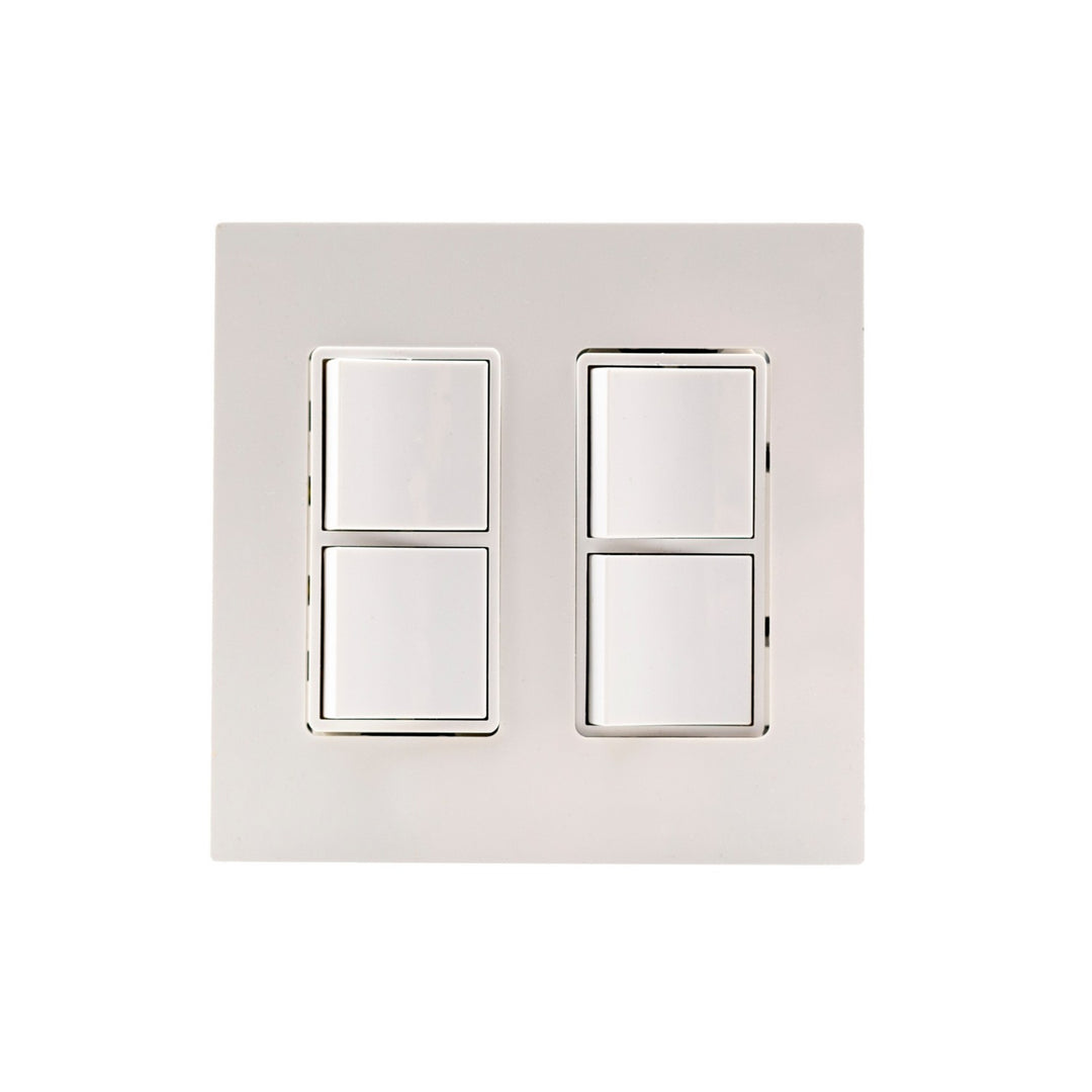 Dual Duplex Switch Wall Plate And Gang Box in Stainless Steel - available from The Lighting Shoppe, trusted by Canadian homeowners