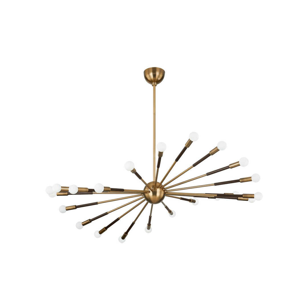 Troy Lighting Canada - F3051-PBR/BRZ - 22 Light Chandelier - Obie - Patina Brass