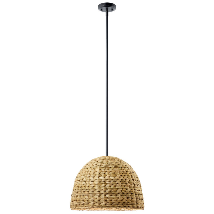 Kichler Canada - 44399BK - One Light Mini Pendant - Raffiana - Black
