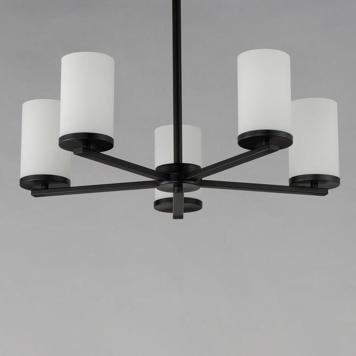 Maxim - 10286SWBK - Five Light Chandelier - Lateral - Black