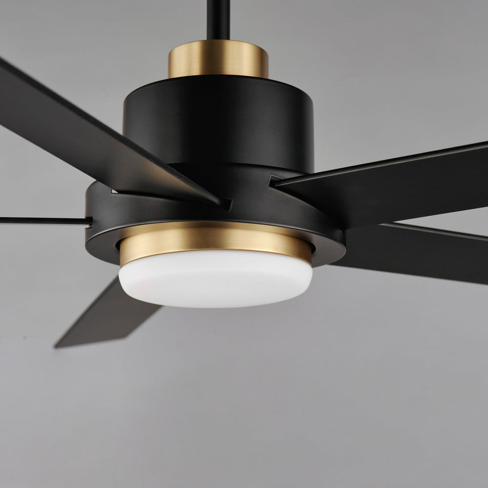 Maxim - 88826BKGLD - 60" Ceiling Fan - Daisy - Black / Gold