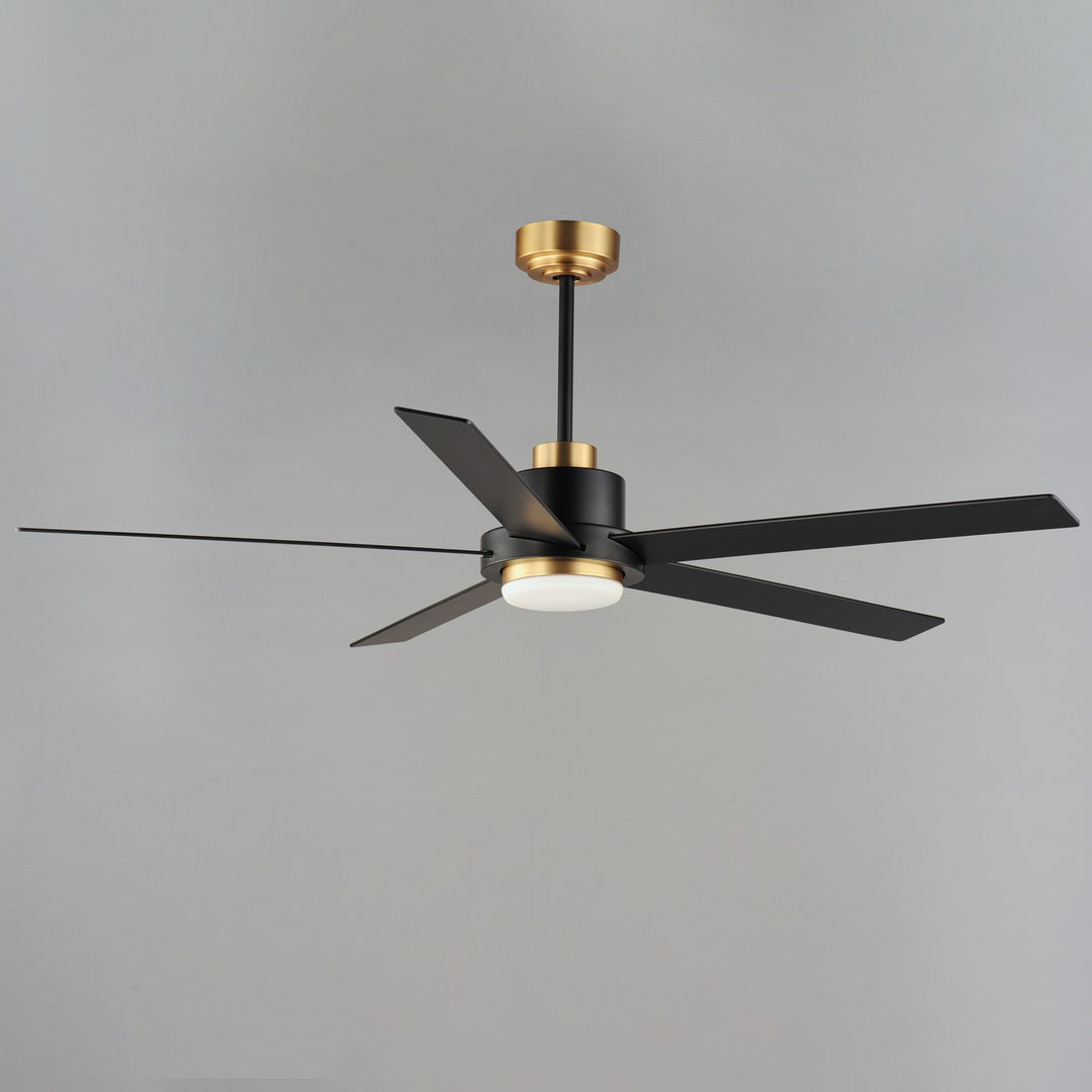 Maxim - 88826BKGLD - 60" Ceiling Fan - Daisy - Black / Gold