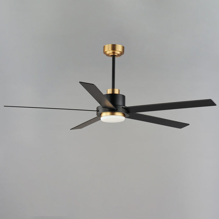 Maxim - 88826BKGLD - 60" Ceiling Fan - Daisy - Black / Gold