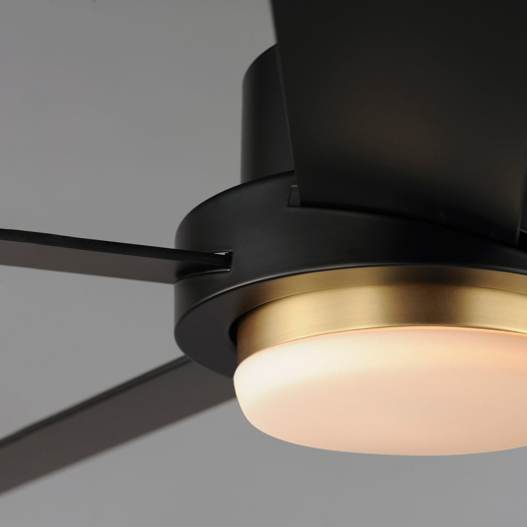 Maxim - 88826BKGLD - 60" Ceiling Fan - Daisy - Black / Gold