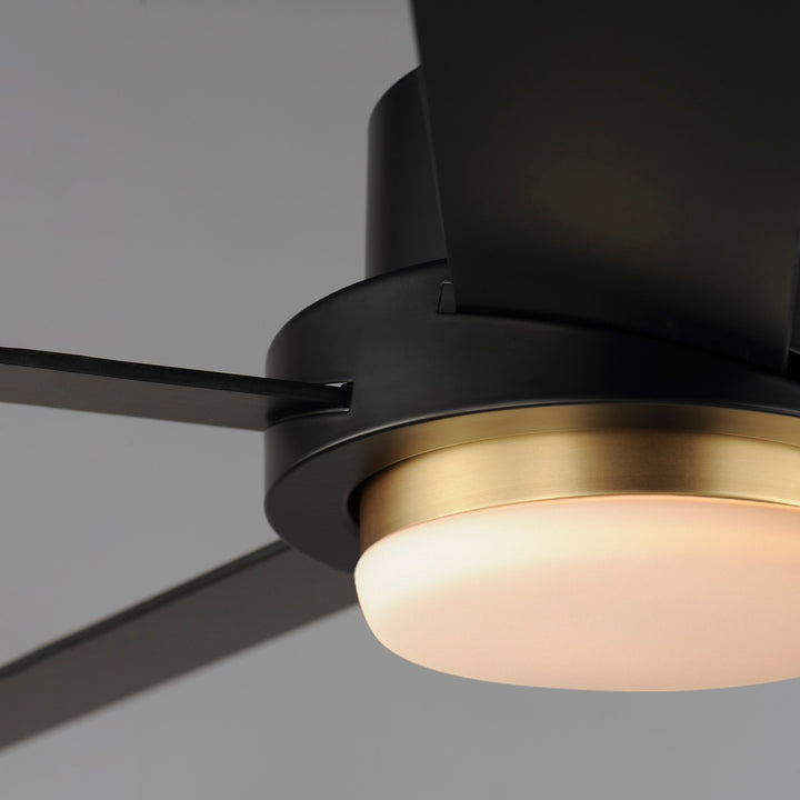 Maxim - 88826BKGLD - 60" Ceiling Fan - Daisy - Black / Gold