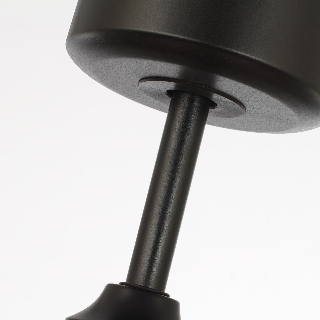 Maxim - 63001DWBK - LED Fandelight - Teton - Driftwood / Black