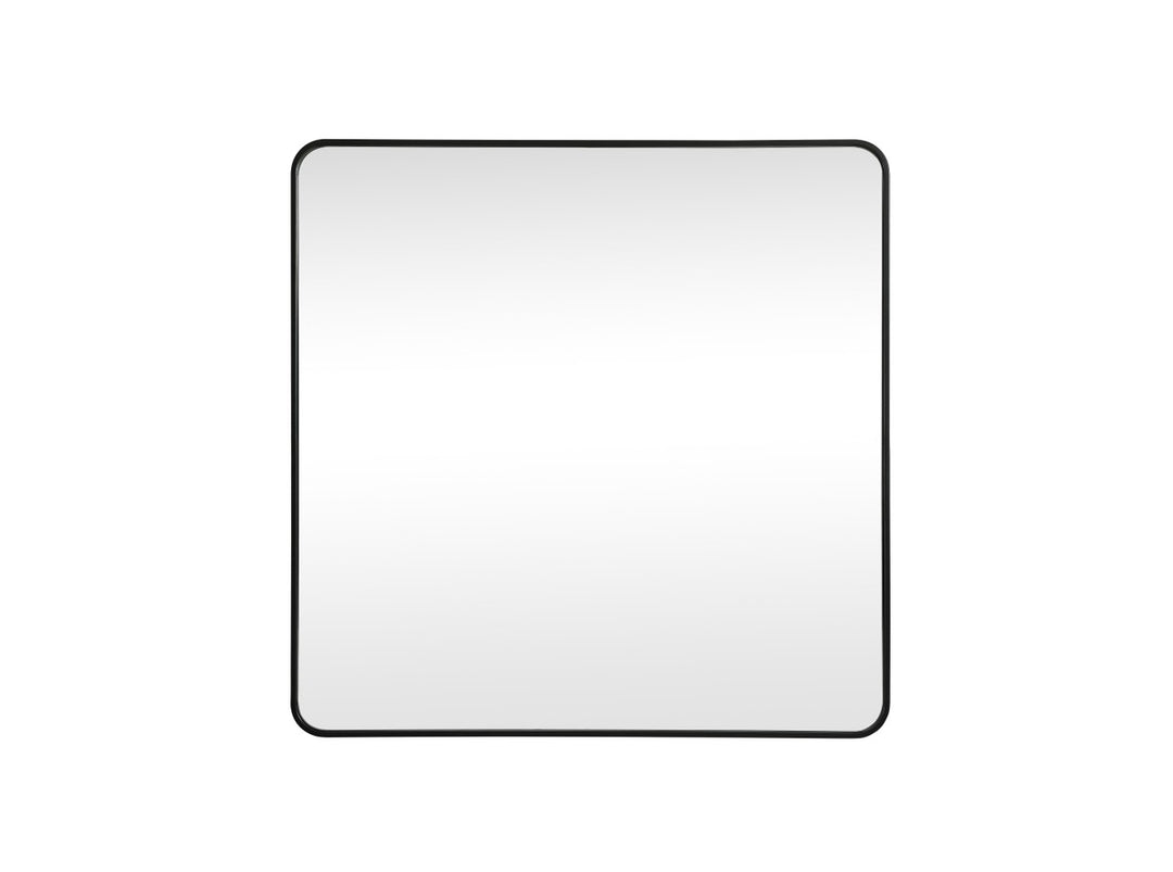 Elegant Lighting - MR804242BK - Mirror - Evermore - Black