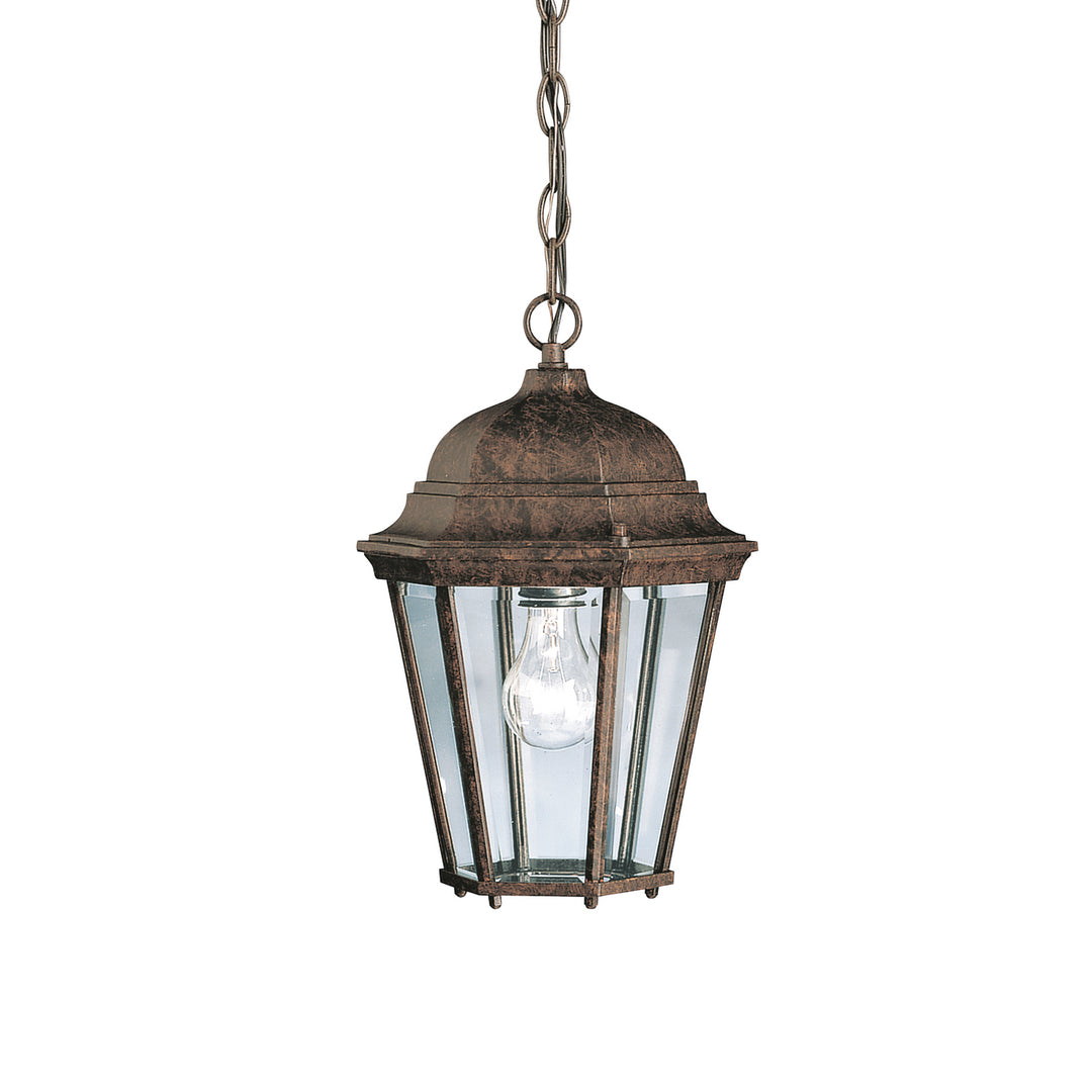 Kichler Canada - 9805TZ - One Light Outdoor Pendant - Madison - Tannery Bronze