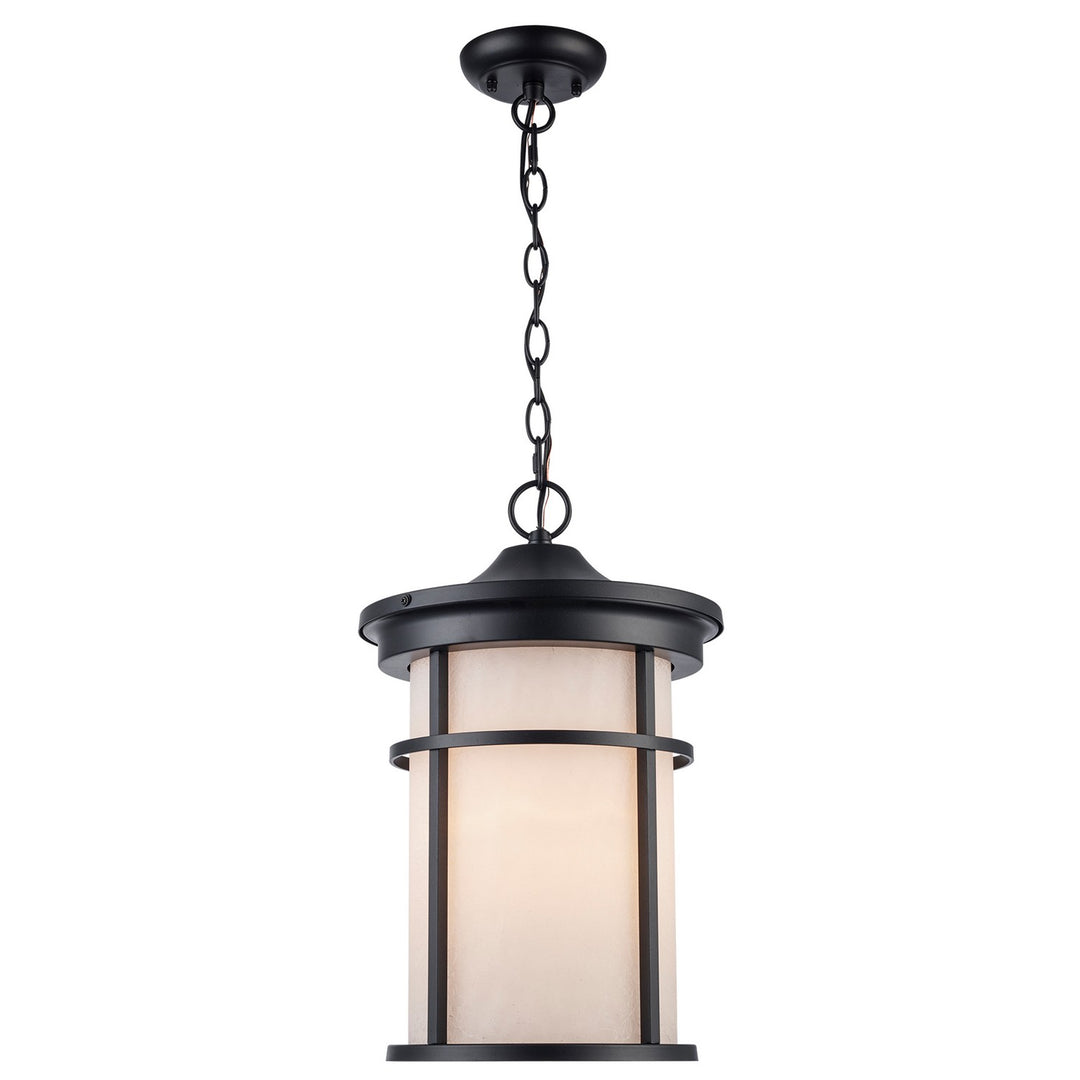 One Light Outdoor Hanging Lantern in Black - available from The Lighting Shoppe, trusted by Canadian homeowners