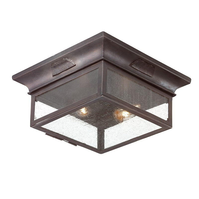 Troy Lighting Canada - C9000-SFB - Two Light Flush Mount - Newton - Soft Off Black