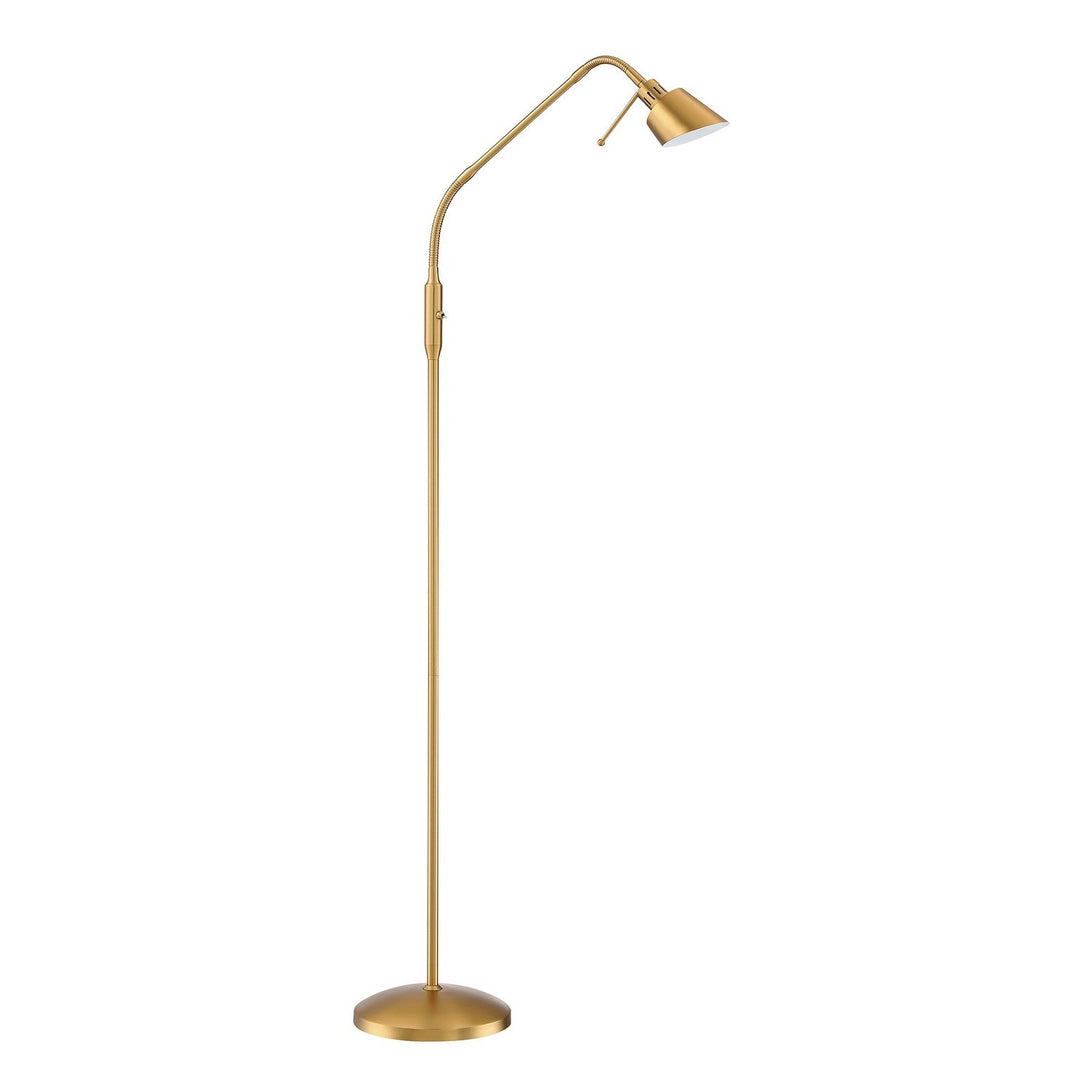 Oslo One Light Floor Lamp in Brass Kendal Canada