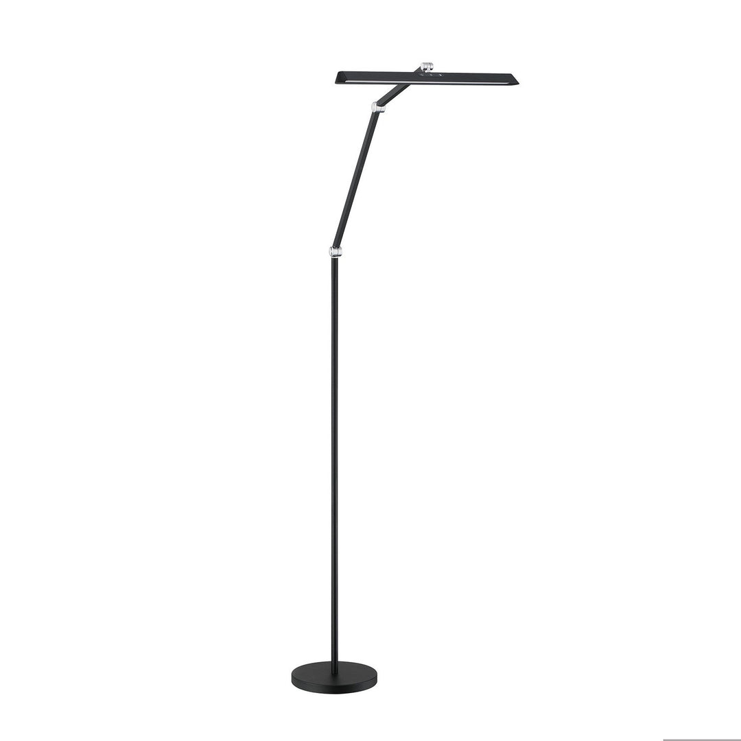 Flux LED Floor Lamp in Black Kendal Canada