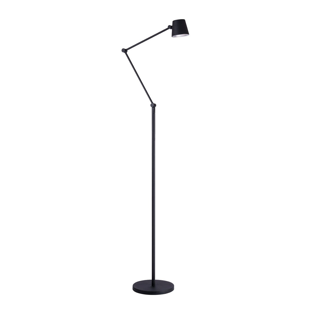 Tesa LED Floor Lamp in Black Kendal Canada