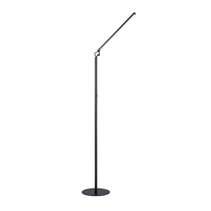 Zuon LED Floor Lamp in Black Kendal Canada