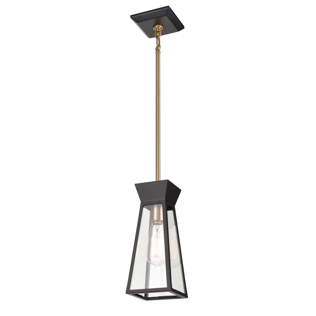 Lucian One Light Pendant in Black and Brushed Brass - available from The Lighting Shoppe, trusted by Canadian homeowners