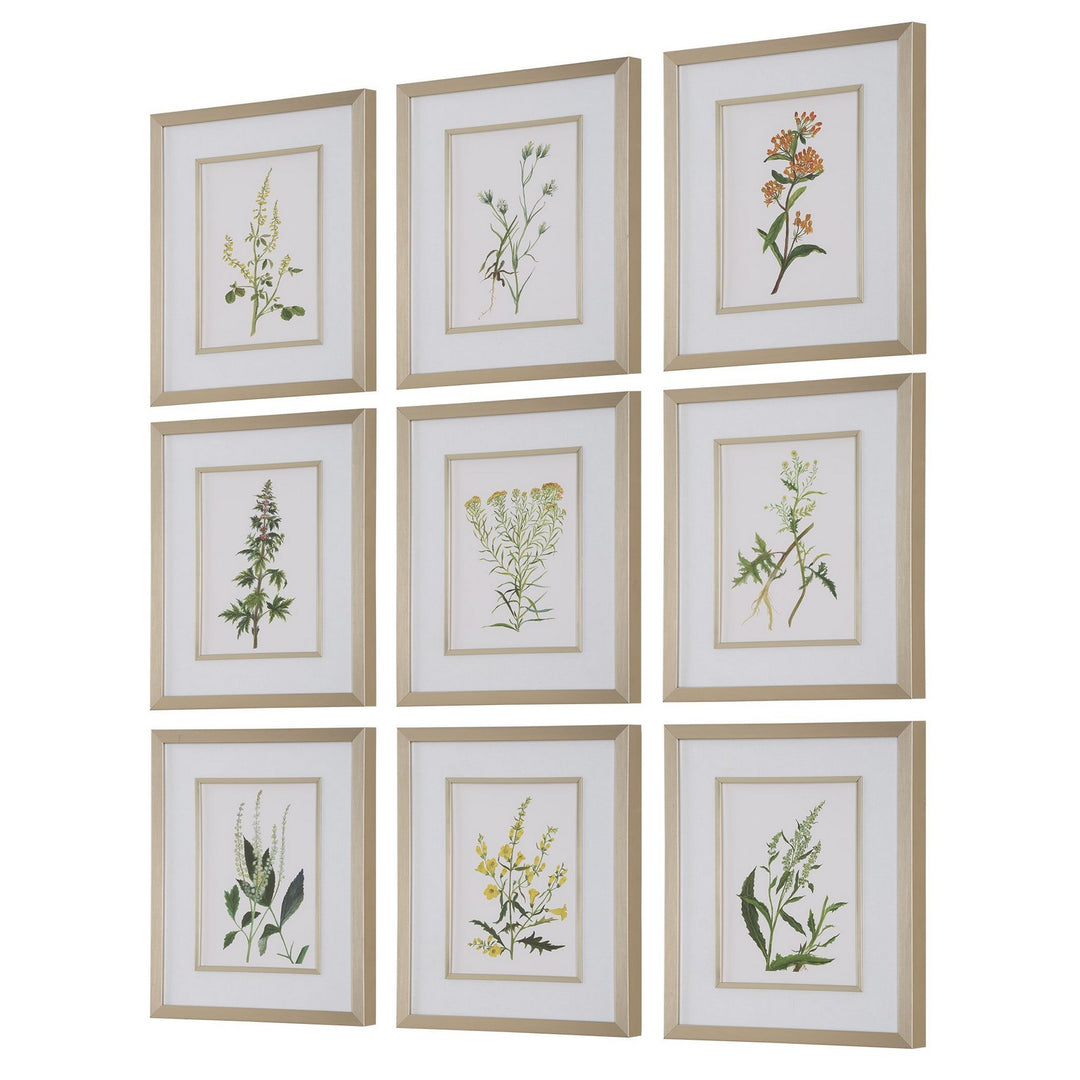 Botanical Flowers Framed Prints, S/9 in Champagne Gold - available from The Lighting Shoppe, trusted by Canadian homeowners