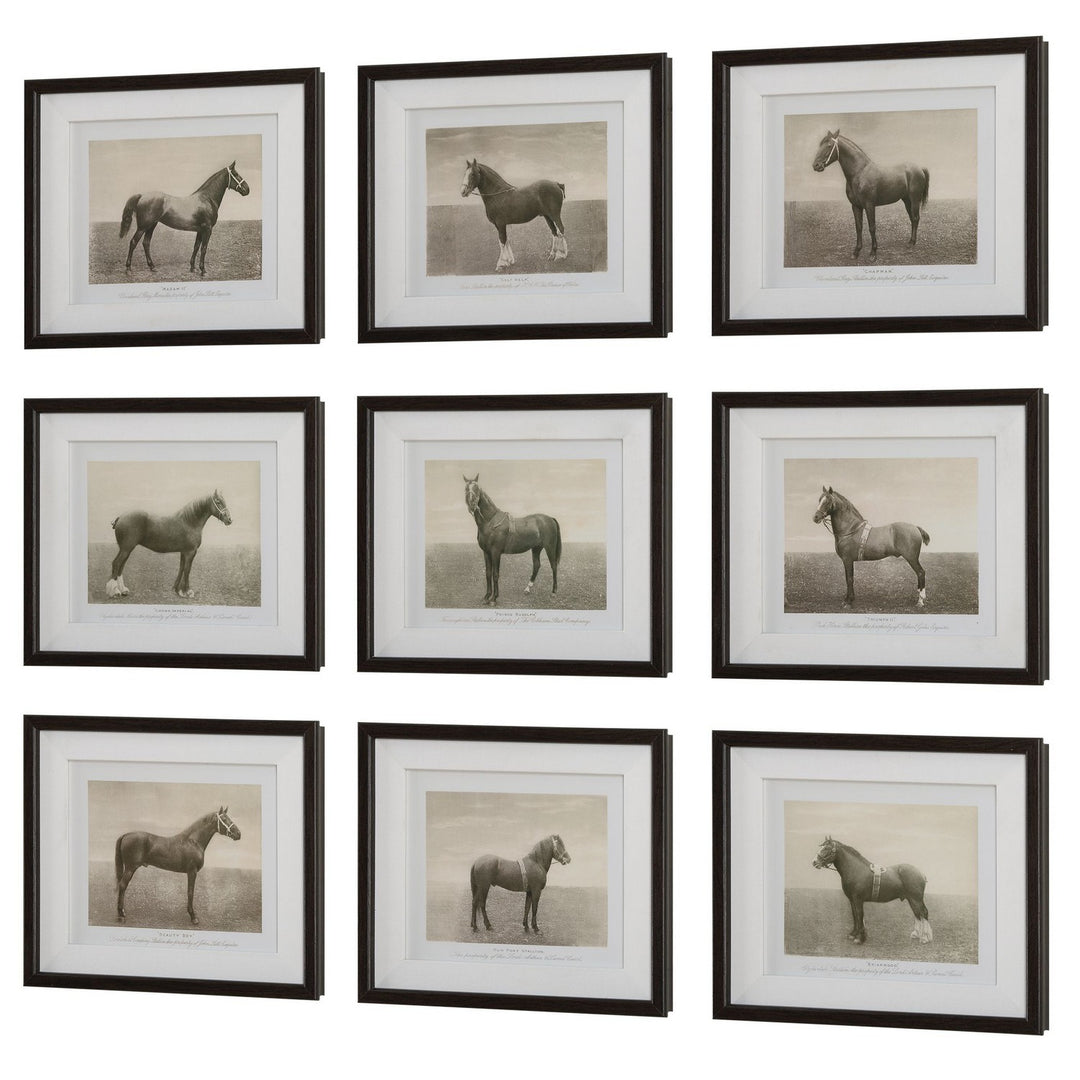 Equine Dynasty Framed Prints, S/9 in Dark Walnut - available from The Lighting Shoppe, trusted by Canadian homeowners