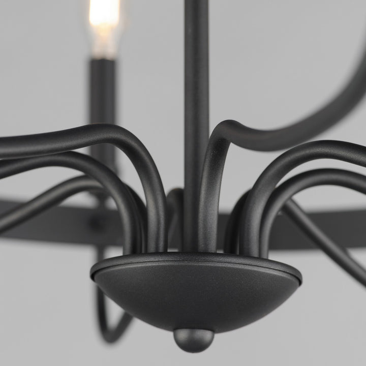 Maxim - 14498BK - Eight Light Chandelier - Frankie - Black