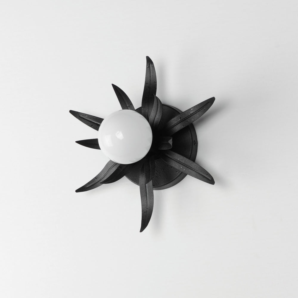 Maxim - 2880AR - One Light Wall Sconce - Paloma - Anthracite