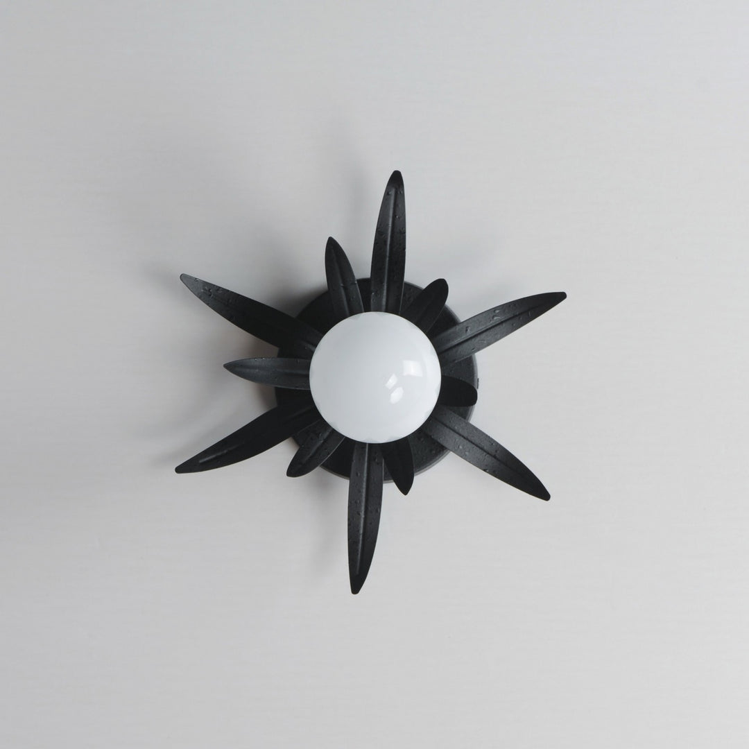 Maxim - 2880AR - One Light Wall Sconce - Paloma - Anthracite