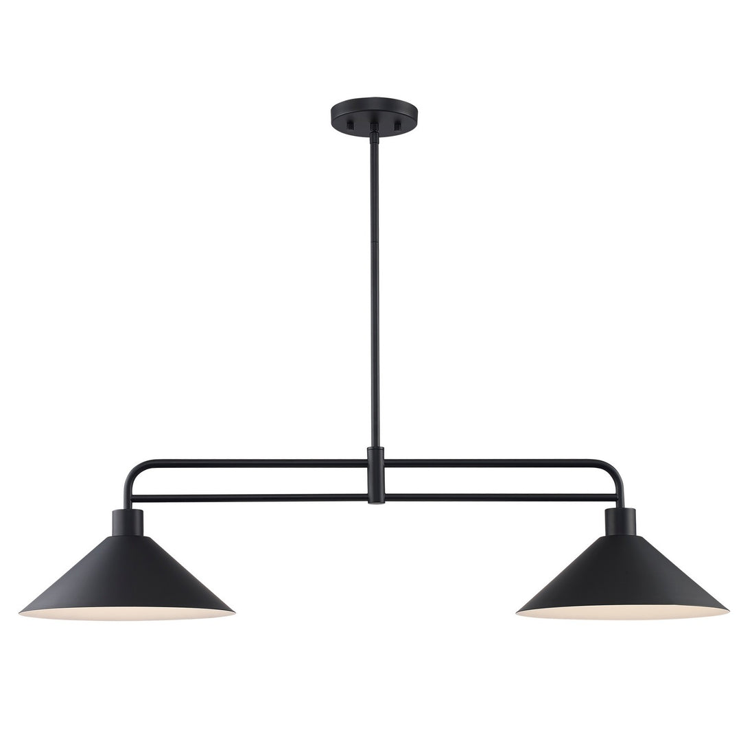Roscoe Two Light Linear Pendant in Black - available from The Lighting Shoppe, trusted by Canadian homeowners