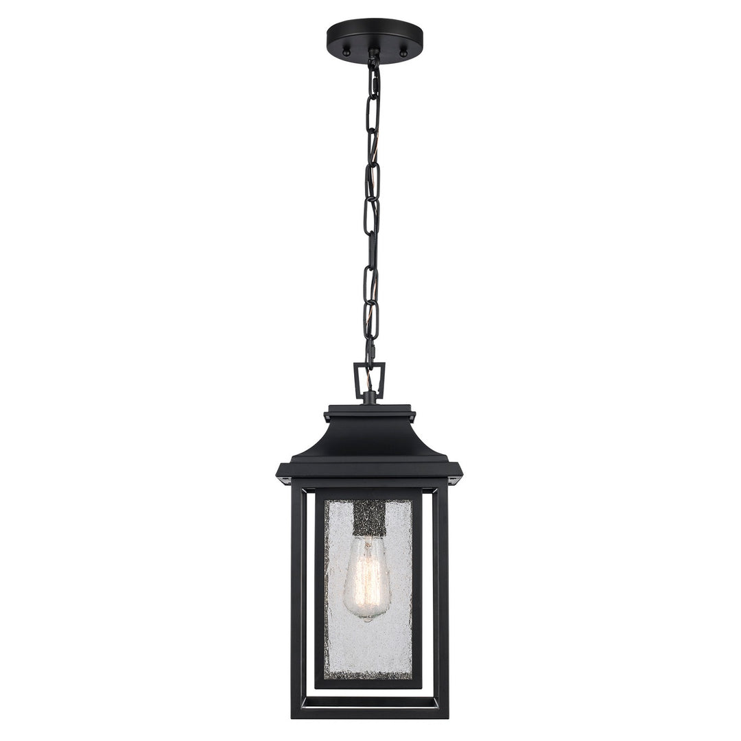 Bosque One Light Outdoor Pendant in Black - available from The Lighting Shoppe, trusted by Canadian homeowners