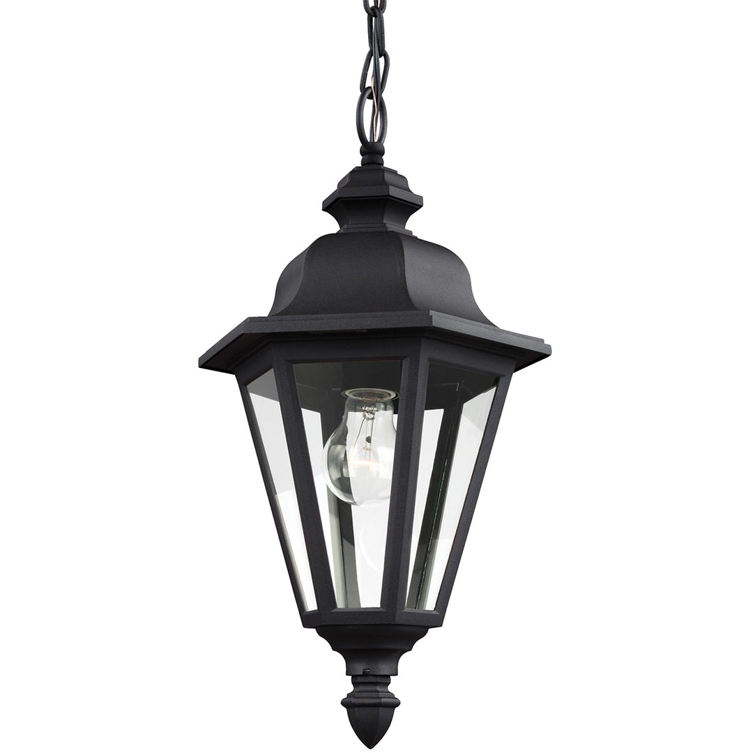 Brentwood One Light Outdoor Pendant in Black - available from The Lighting Shoppe, trusted by Canadian homeowners
